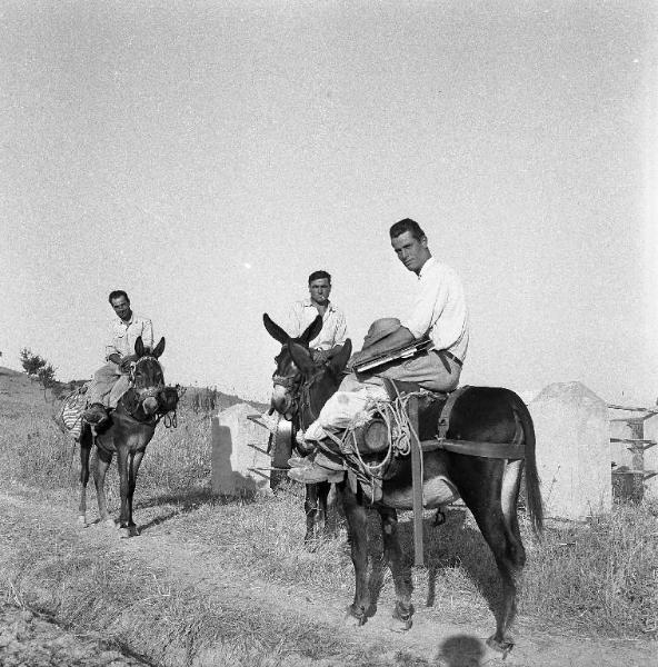 Melissa (Crotone) - Tre uomini su muli in un viottolo