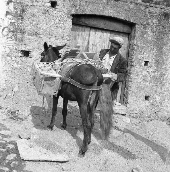 Melissa (Crotone) - Lavori stradali - Scarico di materiale portato da un mulo