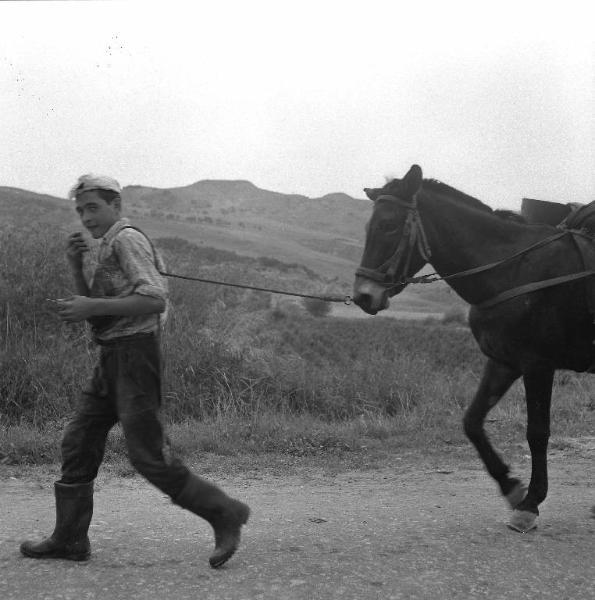 Melissa (Crotone) - Ragazzo con mulo in una strada di campagna