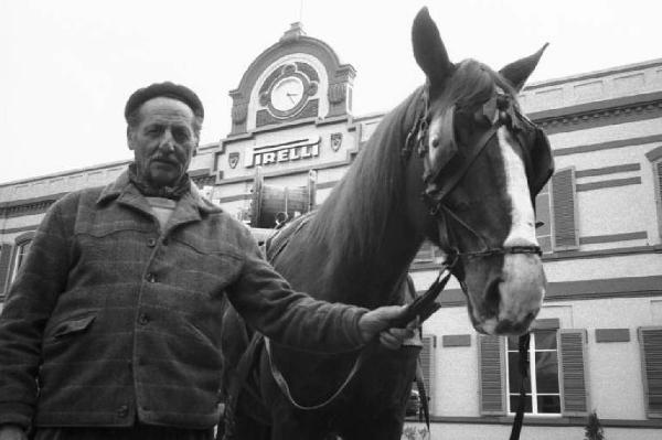 Pirelli. Livorno - Pirelli - Stabilimento - Produzione cavi - Operaio con cavallo da tiro