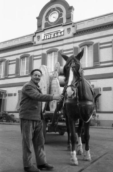 Pirelli. Livorno - Pirelli - Stabilimento - Produzione cavi - Operaio con cavallo da tiro