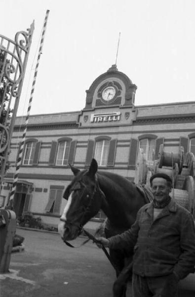 Pirelli. Livorno - Pirelli - Stabilimento - Produzione cavi - Operaio con cavallo da tiro