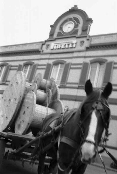 Pirelli. Livorno - Pirelli - Stabilimento - Produzione cavi - Cavallo da tiro e bobine cavi