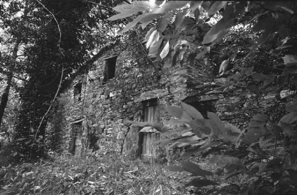 Ritratto del Monte. Tra Camogli e Levanto - Boschi - Cascina - Rudere