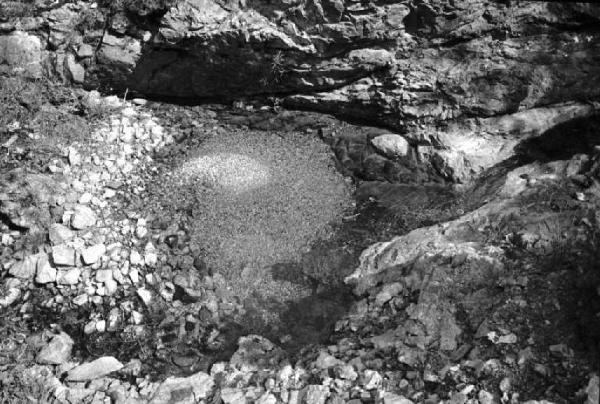 Ritratto del Monte. Tra Camogli e Levanto - Pozza d'acqua di torrente