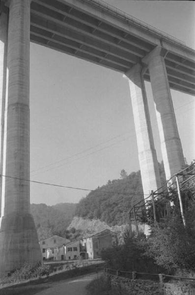 Ritratto del Monte. Tra Camogli e Levanto - Viadotto autostradale