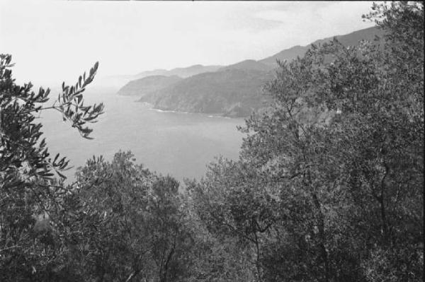 Ritratto del Monte. Tra Camogli e Levanto - Panorama - Boschi e mare