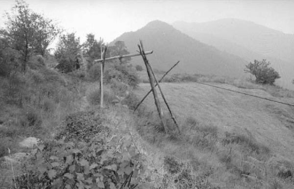 Ritratto del Monte. Tra Camogli e Levanto - Boschi