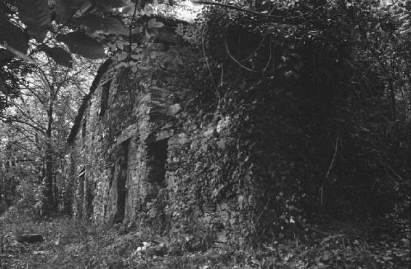 Ritratto del Monte. Tra Camogli e Levanto - Boschi - Cascina - Rudere