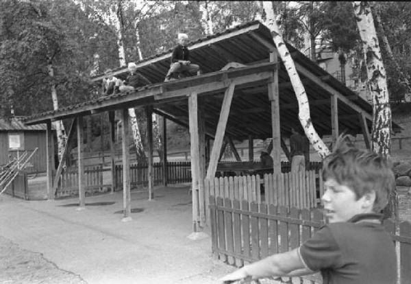 Svezia - Bambini su di una costruzione in legno del parco giochi