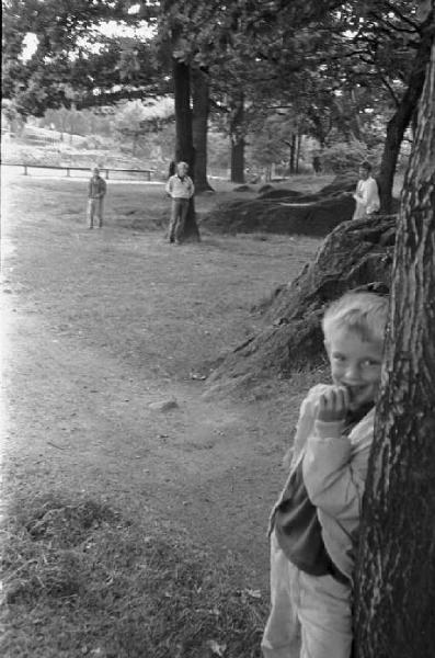Svezia - Ritratto maschile - bambino che si nasconde dietro un albero