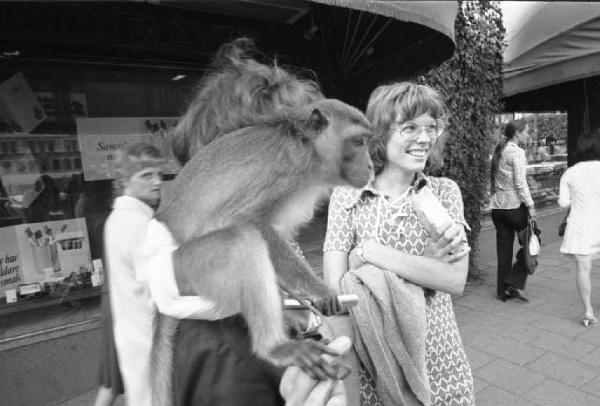 Svezia, Stoccolma - Giovane donna e uomo con scimmietta in spalla