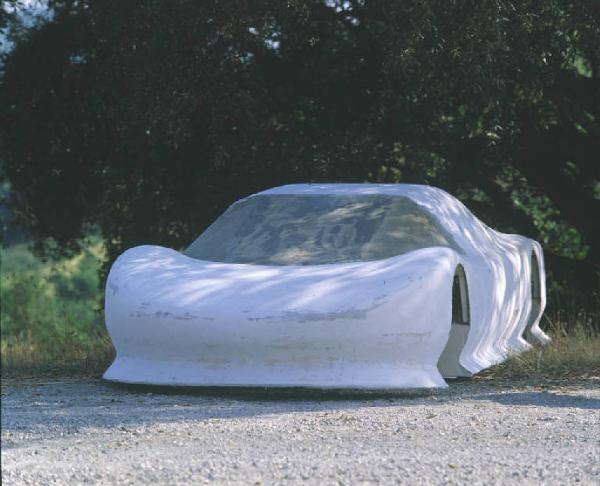 Autovetture sportive - ripresa di una vettura sportiva coperta da un telo bianco all'interno di un parco