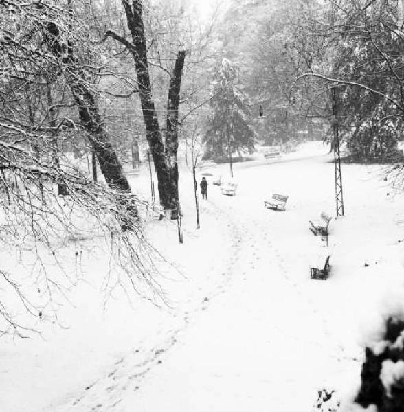 Milano - Scorcio dei Giardini Pubblici sotto la neve