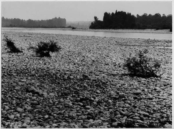 Nosate - fiume Ticino - parco del Ticino - riva