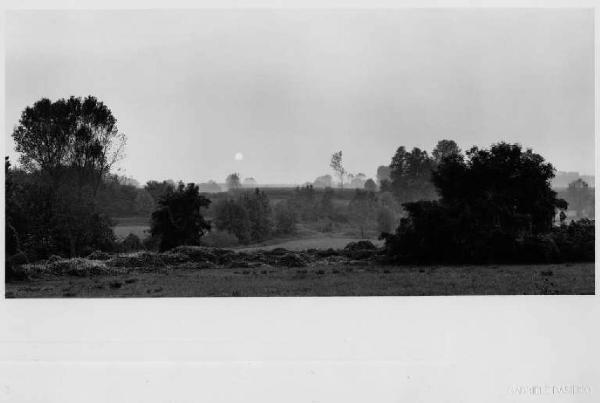 Borghetto Lodigiano, Barazzina - campagna - vegetazione