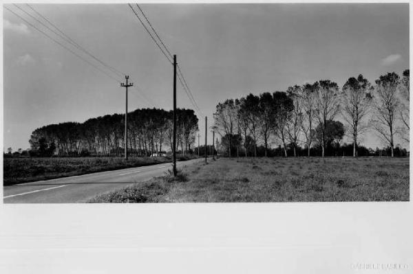 Cerro al Lambro - strada - pioppi