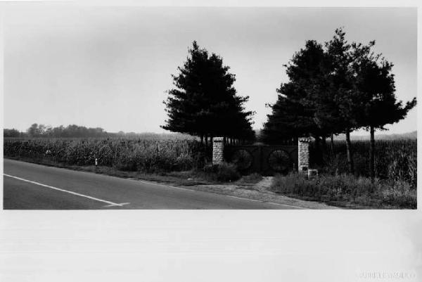 Busto Garolfo - strada - cancello d'ingresso - campi coltivati - granoturco - bosco del Roccolo