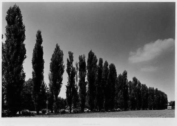 Cerro Maggiore - villa Lampugnani - campi - viale alberato