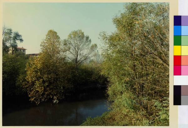 Salerano sul Lambro - fiume Lambro - vegetazione