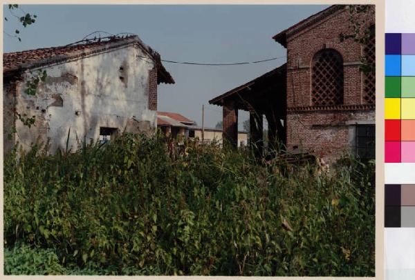 San Zenone al Lambro - cascina Cassinetta - vegetazione