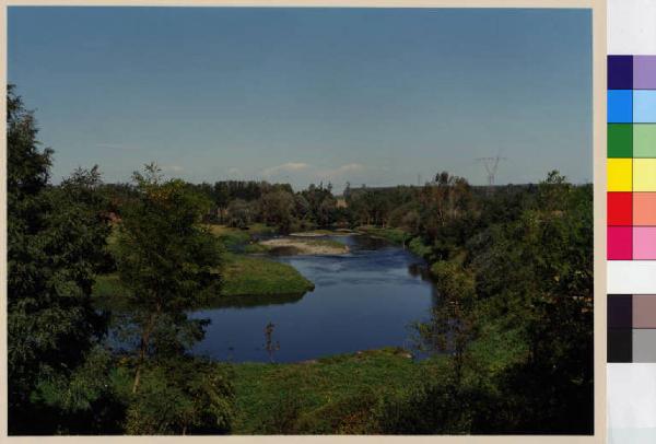 San Zenone al Lambro - fiume Lambro - vegetazione