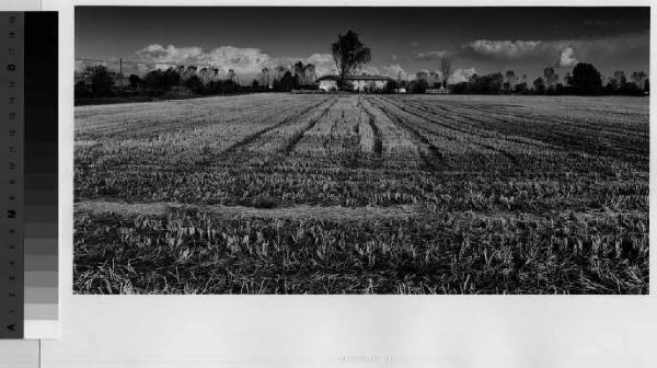 Carpiano - cascina Ca' Matta - campi dopo la mietitura