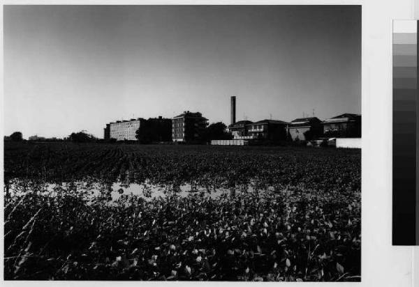 Cesano Boscone - marcita - via Vespucci - centro abitato - campi