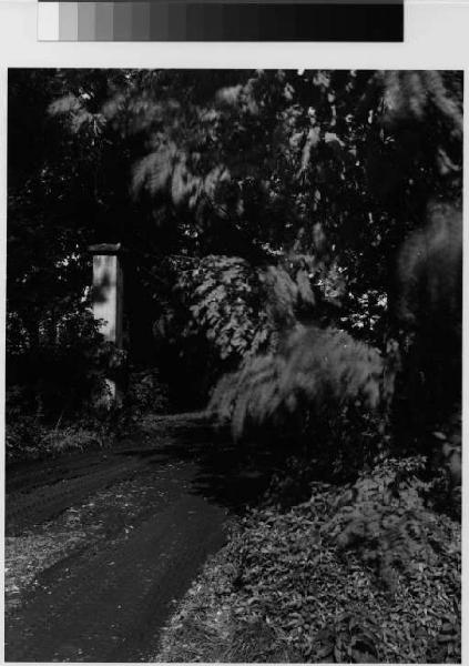 Cesano Boscone - ex villa Marazzi Lattuada - giardino