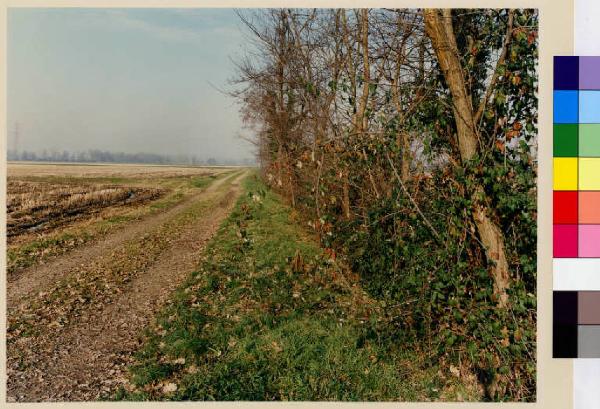 Basiglio - oasi di protezione - campi - vegetazione