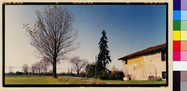 Mediglia - cascina Melegnanello - campi