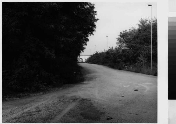 Basiano - nei pressi di Cavo Viareggio - strada - vegetazione