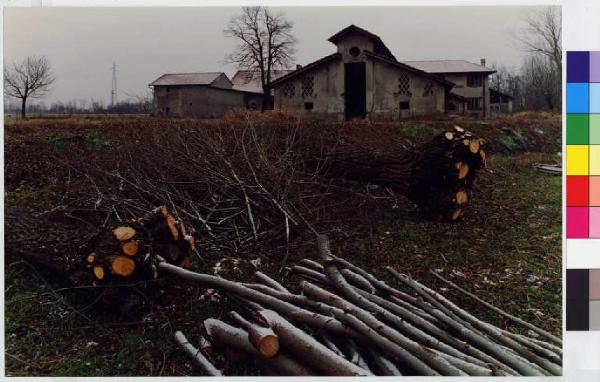 Corbetta - cascina Santi - tronchi d'albero