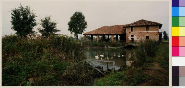 Casarile - cascina Colombera - stagno - vegetazione