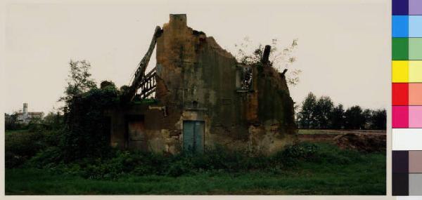 Casarile - rudere nei pressi della cascina Crocione - vegetazione