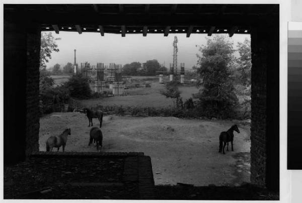 San Donato Milanese - cantiere - finestre della cascina San Francesco dell'Accesso - lli