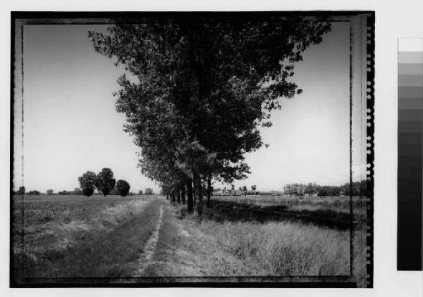 Paullo - parco Sud - campi agricoli lungo il  canale della Muzza