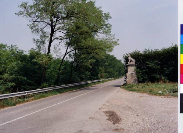 Bollate - località Castellazzo - via dei Leoni - vegetazione