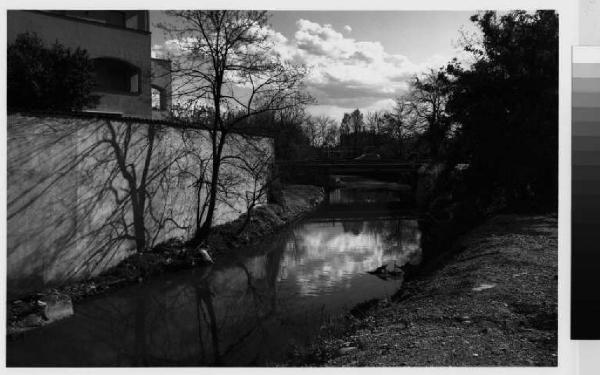 Burago di Molgora - torrente Molgora - fiume - vegetazione