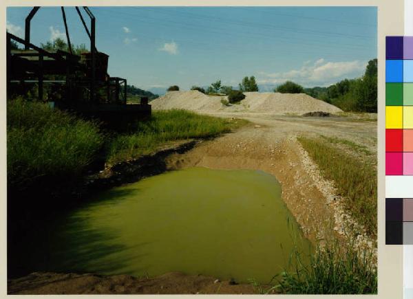 Cornate d'Adda - località di cava Bagna - vegetazione