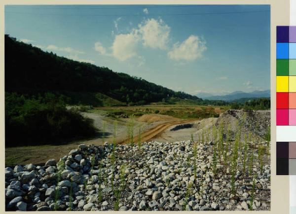 Cornate d'Adda - località di cava Bagna - vegetazione