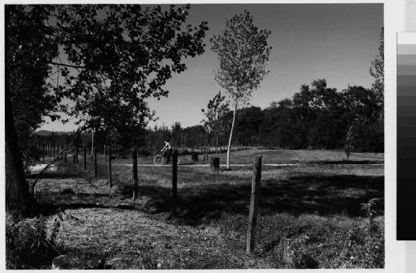 Limbiate - parco delle Groane - vegetazione - ciclista