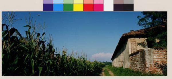 Castano Primo - cascina Malpaga - strada sterrata - campi di granoturco