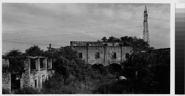 Casorezzo - cascina Modura lungo la strada comunale tra Casorezzo e villastanza - vegetazione