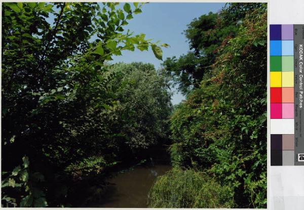 Vernate - roggia Ticinello nei pressi della cascina Boschetto