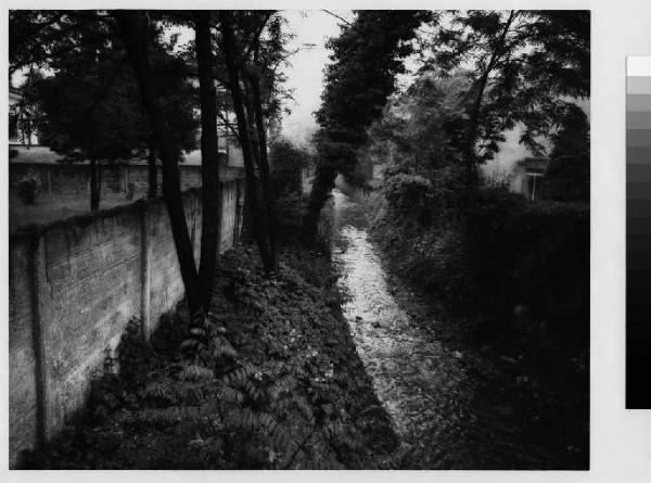 Ceriano laghetto - torrente Guisa - muro di recinzione - vegetazione