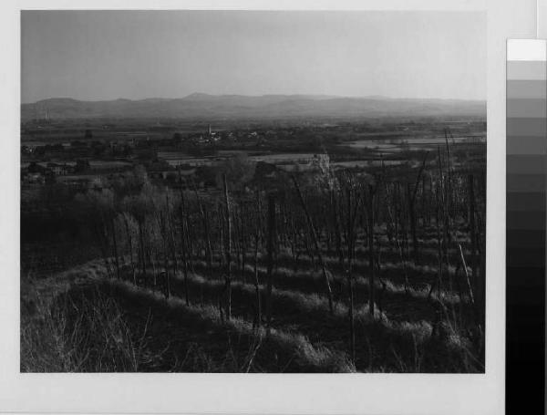 San Colombano al Lambro - colle verso Sud - vigneti presso Costa Regina