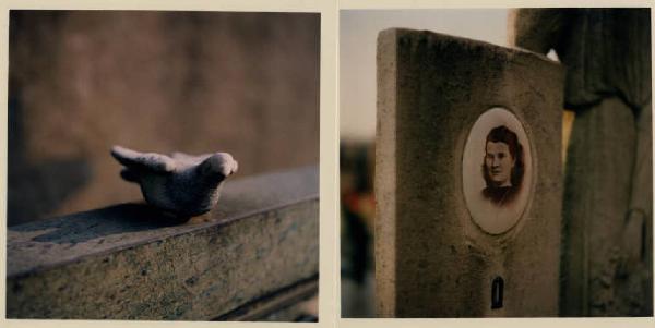 Biassono - cimitero - pietra tombale - fotografia di defunti