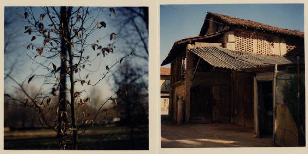 Biassono - villa Segramora - albero - parco - cascina San Giacomo