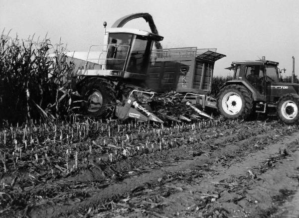 Campo di granoturco - falciatrincia e trattore con cassone